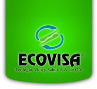 Ecovisa