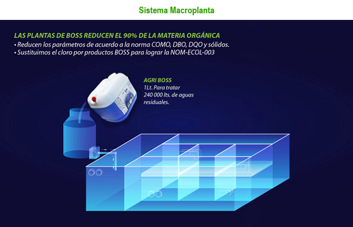 Sistema Macroplanta